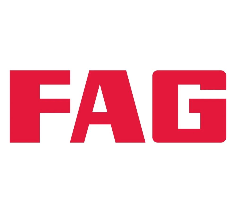 FAG Wheel Bearings for FORD